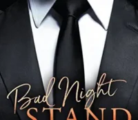 Bad Night Stand by Elise Farber