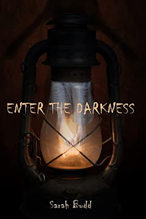 Enter the Darkness Book cover