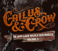 Interview: D. B. Rook, Author of Callus & Crow