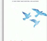The Joy of an Uncluttered Life by Joyce Meyer